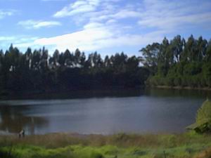 Jenny's Lake Farm B&B - Accommodation Coffs Harbour 5