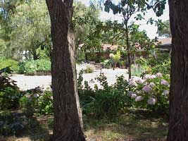 Peaceful Bay Bed And Breakfast - Accommodation Coffs Harbour 0