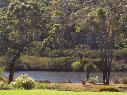 Nornalup Riverside Chalets - Accommodation Coffs Harbour 1