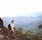 Mimosa Hill Wildflower Farm Cottages - Accommodation Coffs Harbour