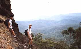 Mimosa Hill Wildflower Farm Cottages - Accommodation Coffs Harbour 0