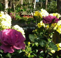 Ford House Retreat - Accommodation Coffs Harbour