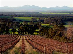 The Sleeping Lady Private Retreat - Accommodation Coffs Harbour 5