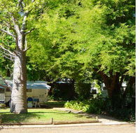 Town Caravan Park - Accommodation Coffs Harbour