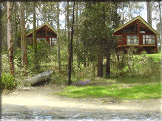 Bewong River Retreat - Accommodation Coffs Harbour 4