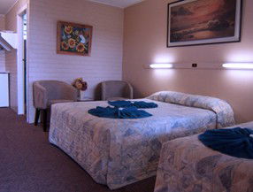 Whitsunday Palms Motel - Accommodation Coffs Harbour 0