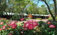 Margaret River Tourist Park - thumb 0