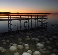 Lake Clifton Caravan Park - Accommodation Coffs Harbour