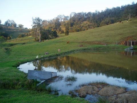 Barkeldine Farm Country Retreat - Accommodation Coffs Harbour 0