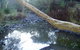 Barkeldine Farm Country Retreat - thumb 1