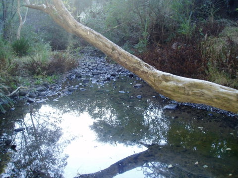 Barkeldine Farm Country Retreat - Accommodation Coffs Harbour 1