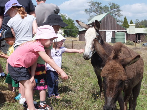 Barkeldine Farm Country Retreat - Accommodation Coffs Harbour 2