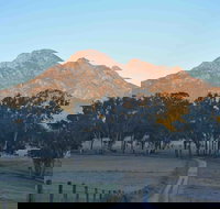 Barney Creek Vineyard Cottages - Accommodation Coffs Harbour