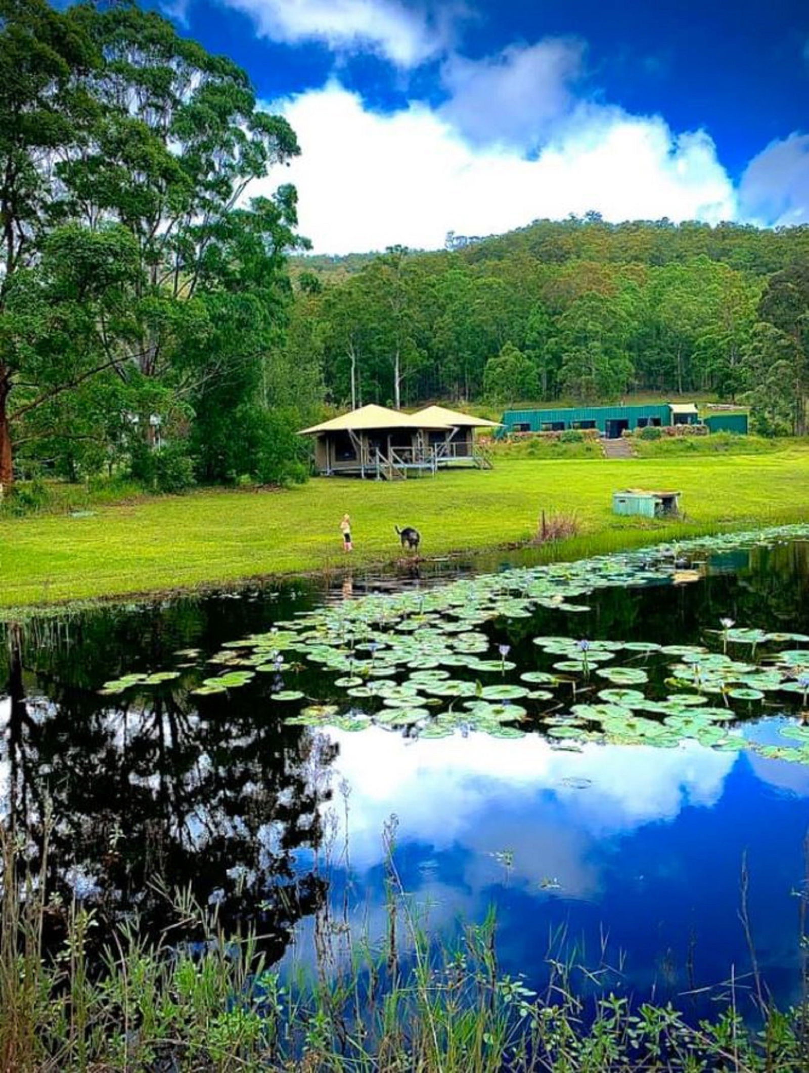Warranulla NSW Accommodation Coffs Harbour