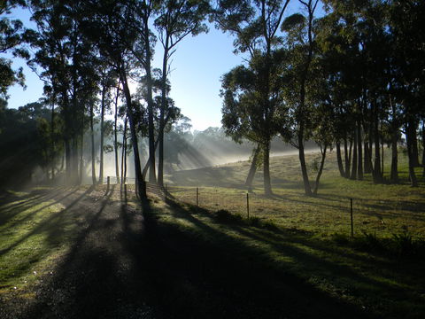 Cygnet Park Country Retreat - Accommodation Coffs Harbour 2