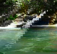 Daintree Secrets Rainforest Sanctuary - Accommodation Coffs Harbour