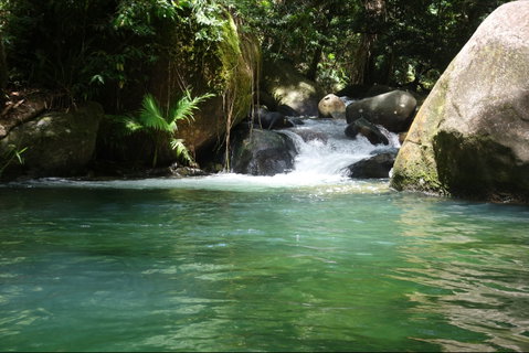 Daintree Secrets Rainforest Sanctuary - Accommodation Coffs Harbour 0