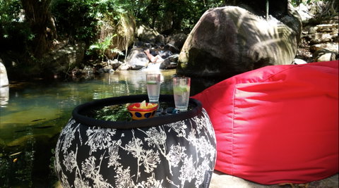 Daintree Secrets Rainforest Sanctuary - Accommodation Coffs Harbour 1