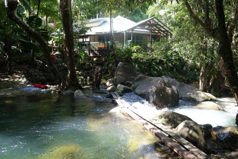 Daintree Secrets Rainforest Sanctuary - Accommodation Coffs Harbour 2