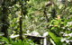 Daintree Ecolodge - thumb 0