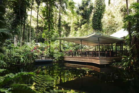Daintree Ecolodge - Accommodation Coffs Harbour 1