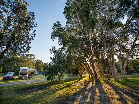 Delicate Campground - Accommodation Coffs Harbour 0