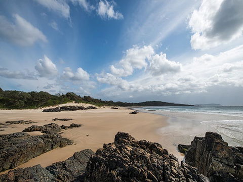 Delicate Campground - Accommodation Coffs Harbour 1