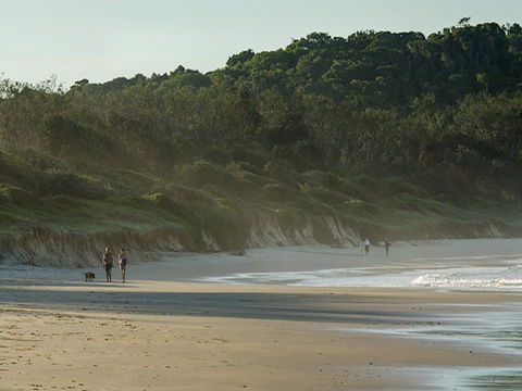 Delicate Campground - Accommodation Coffs Harbour 2