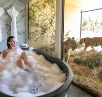 Jamala Wildlife Lodge - Accommodation Coffs Harbour