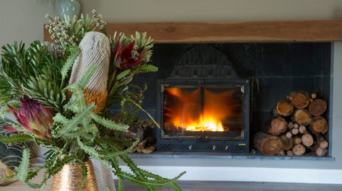 Koala Gully - Accommodation Coffs Harbour 0