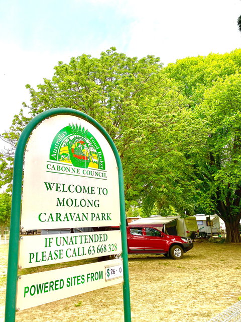 Molong Caravan Park - Accommodation Coffs Harbour 0