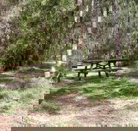 Mulloon Creek campground - Accommodation Coffs Harbour