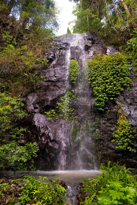 Nimbin Waterfall Retreat - Accommodation Coffs Harbour 0
