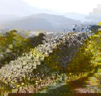 Rosetta's Garden Guesthouse - Accommodation Coffs Harbour