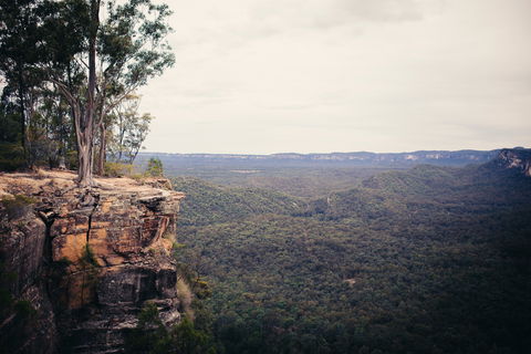 Sandstone Park Carnarvon Gorge - Accommodation Coffs Harbour 1