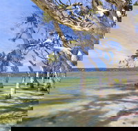 Shoal Cape Camp at Stokes National Park - Accommodation Coffs Harbour