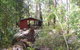 Snottygobble Loop Camp At D'Entrecasteaux National Park - thumb 0
