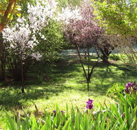 Sofala Cottage - Accommodation Coffs Harbour
