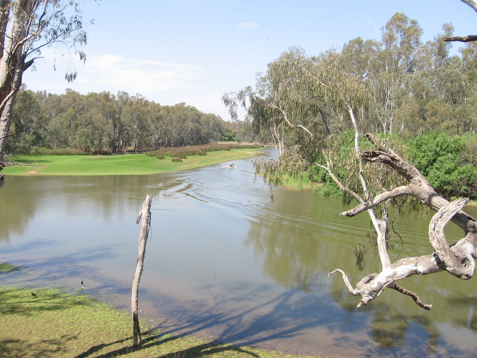 Collendina NSW Accommodation Coffs Harbour