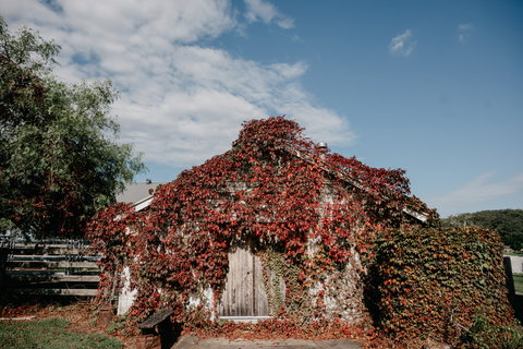 Willow Farm Berry - Accommodation Coffs Harbour 2