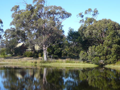 Wind Song Bed And Breakfast - Accommodation Coffs Harbour 2
