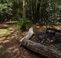 Wombat Creek campground - Accommodation Coffs Harbour