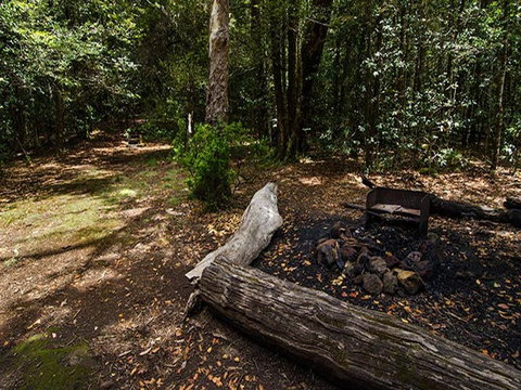 Wombat Creek Campground - Accommodation Coffs Harbour 0