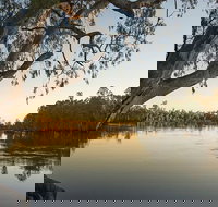 Woperana campground - Accommodation Coffs Harbour