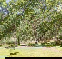 Youdales Hut campground and picnic area - Accommodation Coffs Harbour