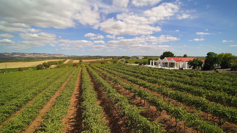 1837 Barossa Luxury Vineyard Cottages - Accommodation Coffs Harbour 0