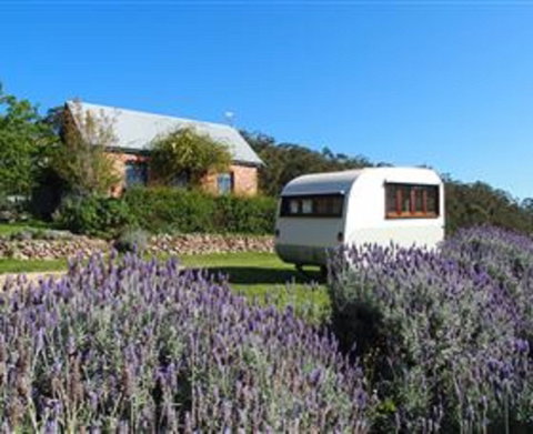 Amelies - Accommodation Coffs Harbour 1