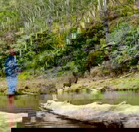 Bass Lodge - Accommodation Coffs Harbour