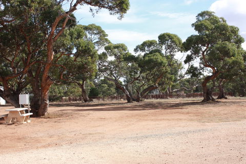 Cleve Showgrounds RV Park - Accommodation Coffs Harbour 1