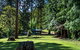Dingo Tops Campground - thumb 0